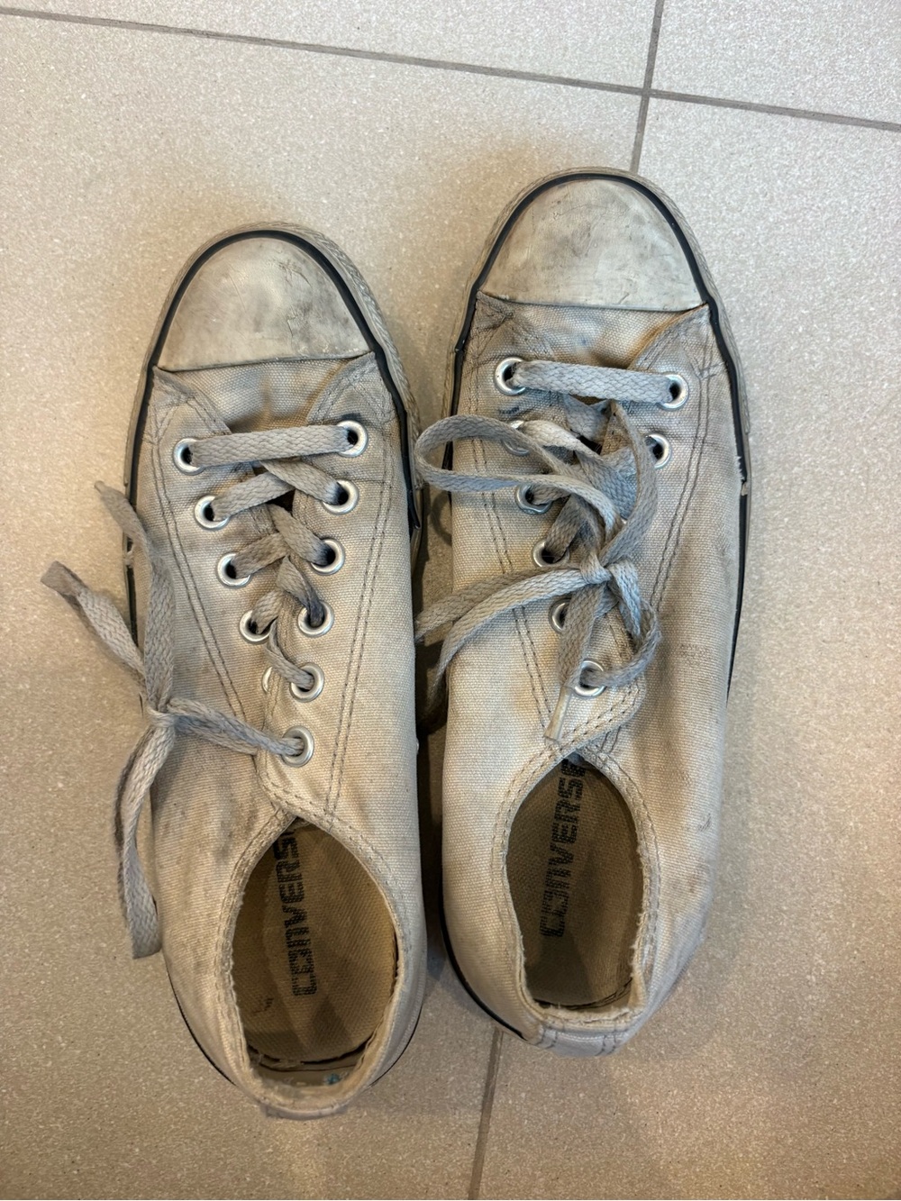 Converse Women Canvas Low Top Sneakers in Light Gray